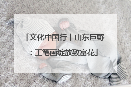 文化中国行丨山东巨野：工笔画绽放致富花